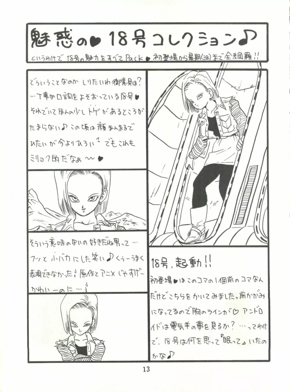 REPLICATE Page.13