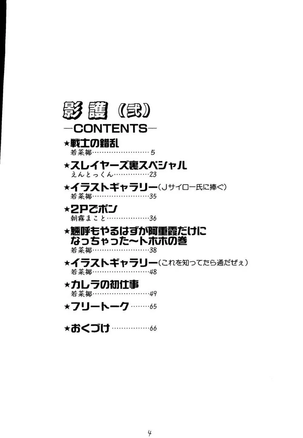 影護 弐 シャドウ=ディフェンス2 Page.3
