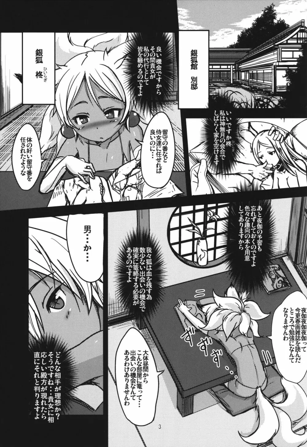 双狐の帳 其の肆 Page.3