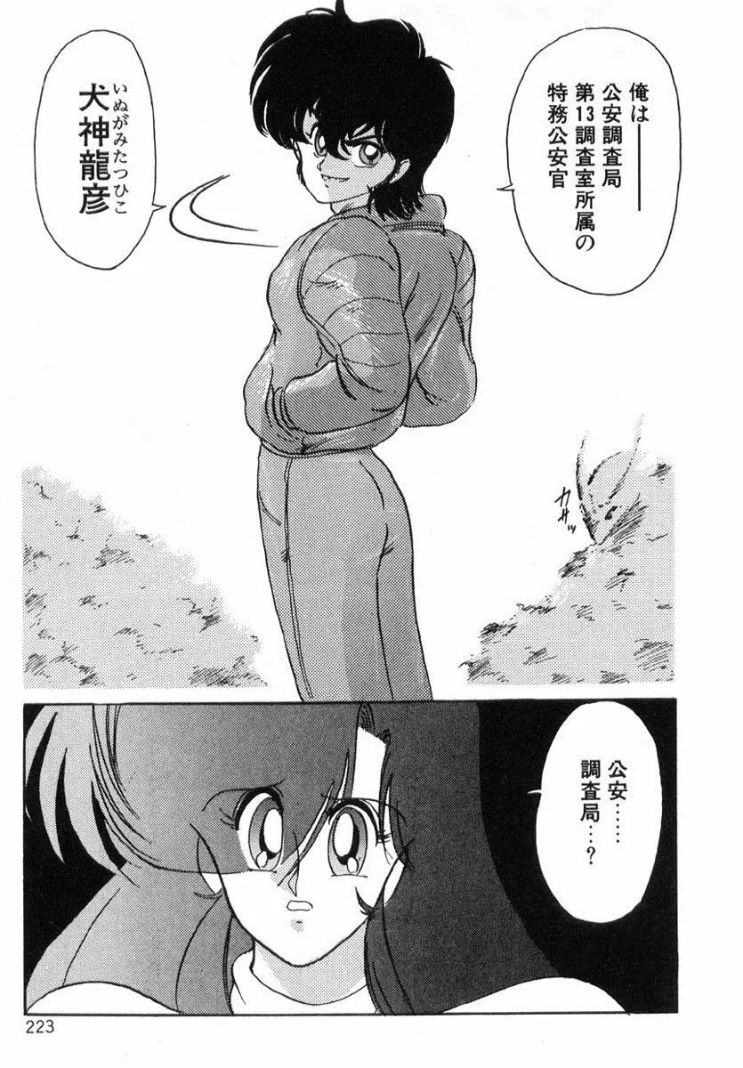 精霊特捜フェアリィセイバー Page.222