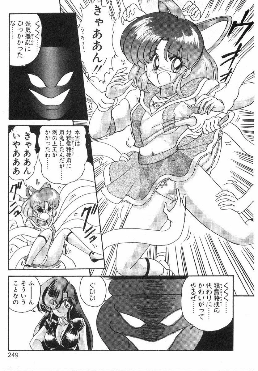 精霊特捜フェアリィセイバー Page.248