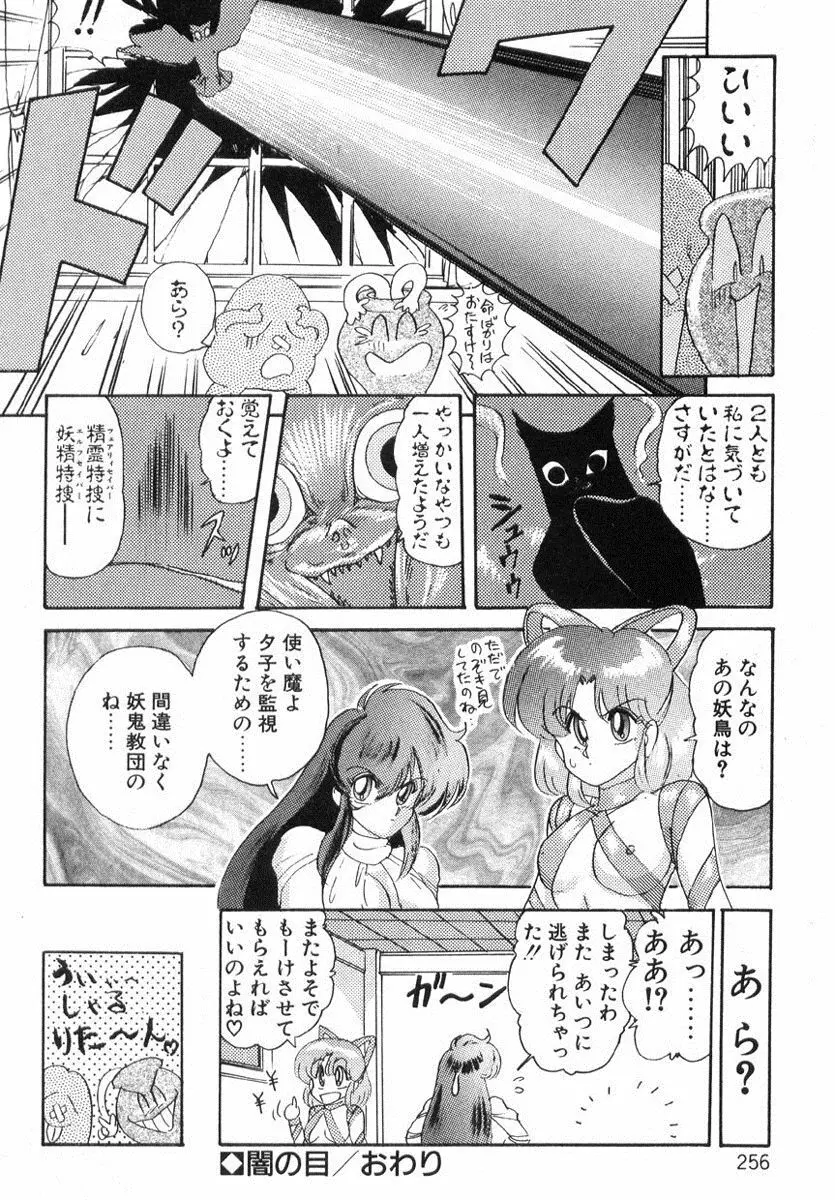 精霊特捜フェアリィセイバー Page.255