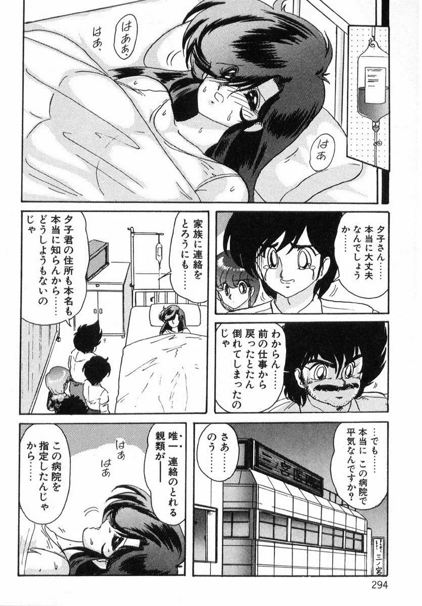 精霊特捜フェアリィセイバー Page.293