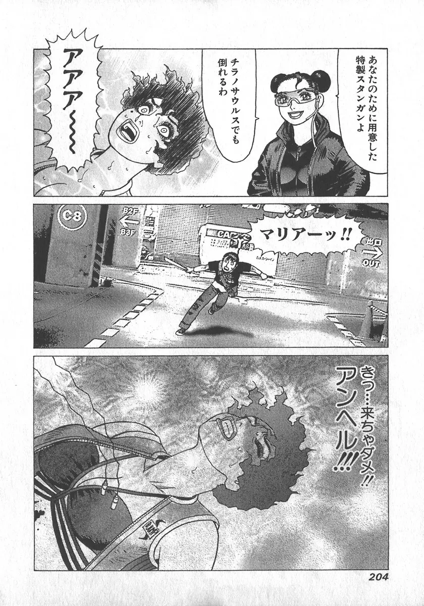 紅壁虎 ホンピーフー 第3巻 Page.207