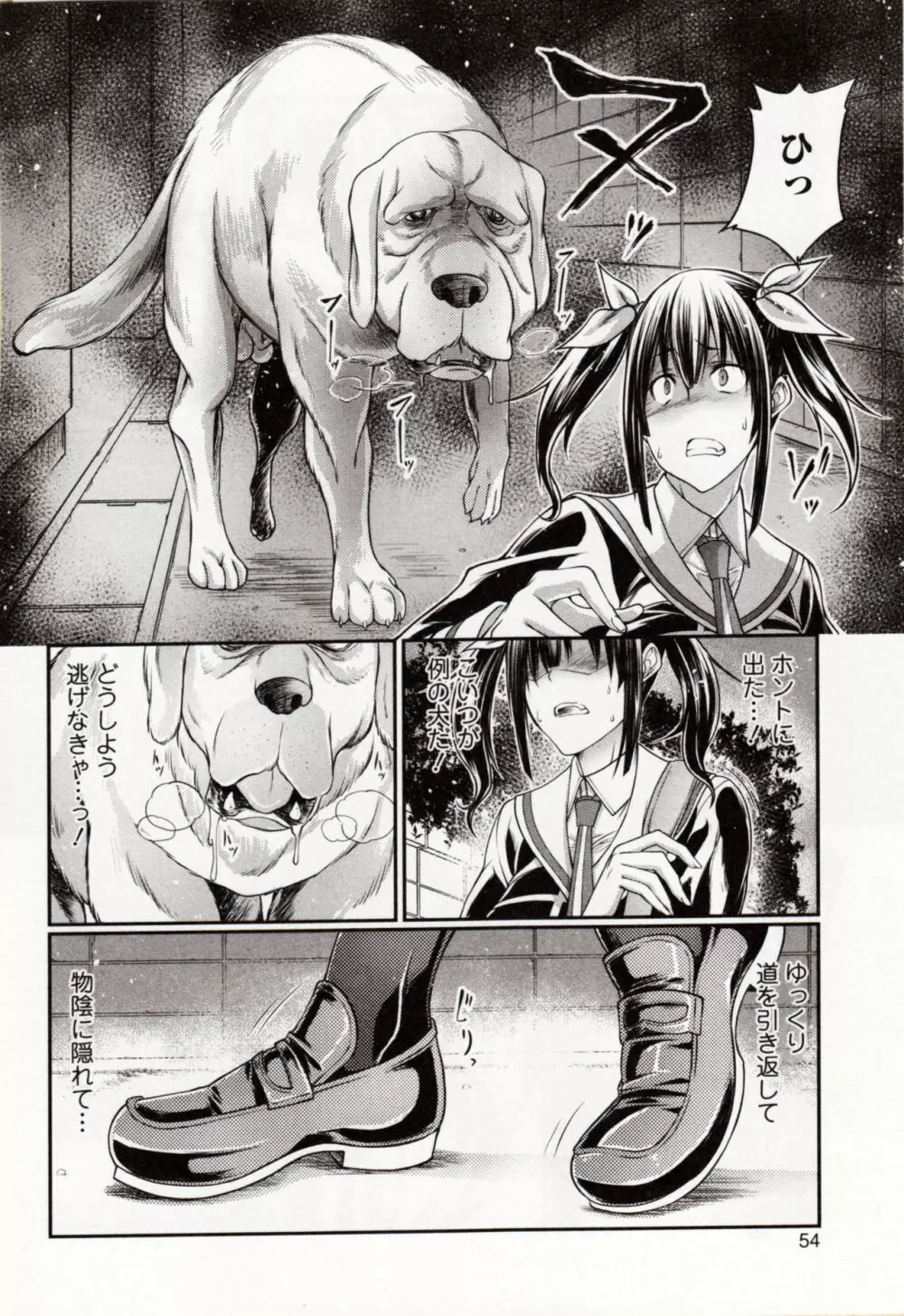 獣DIRECT 4 Page.58