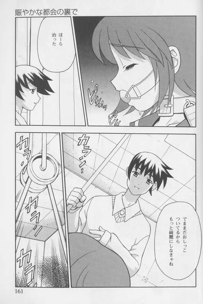 姦淫の家 1 Page.161