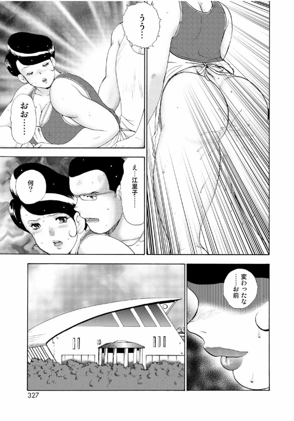 人妻地獄・江里子 Page.325