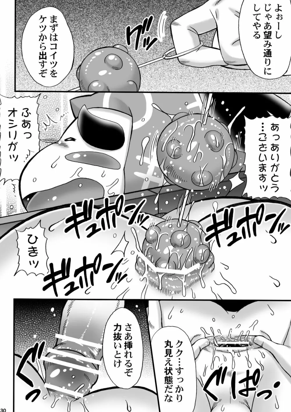 真・忍玉調教録 Page.29
