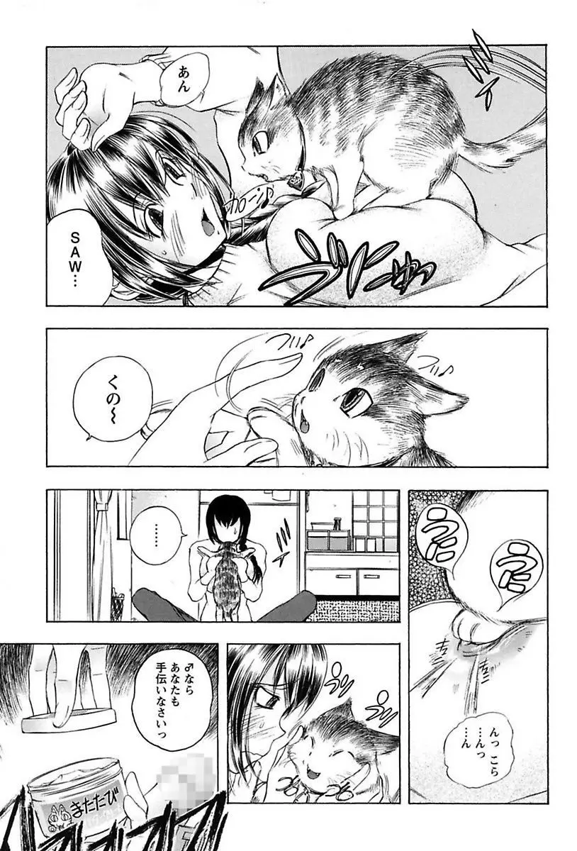 淫猥宿 -響荘へようこそ- Page.31