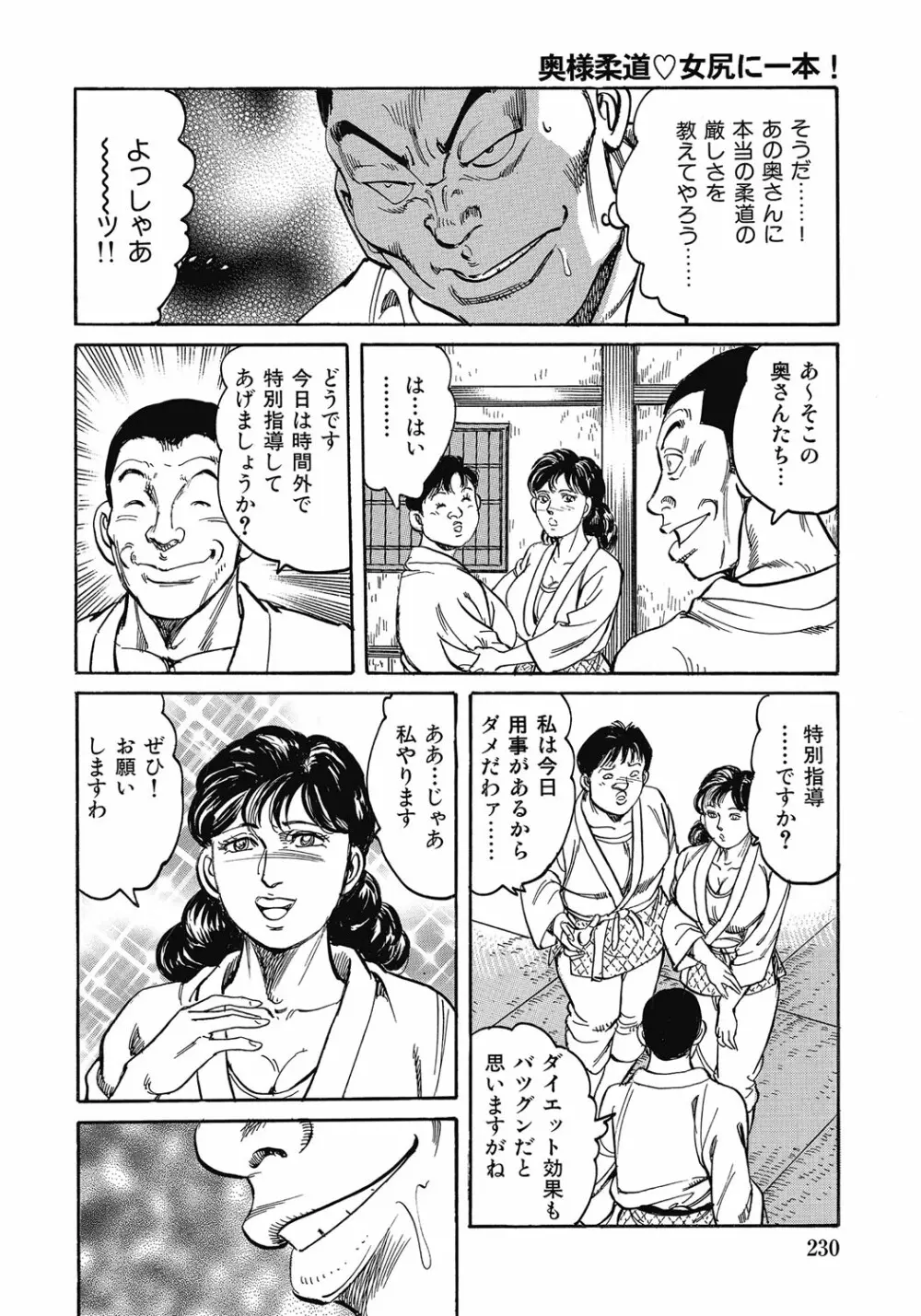 欲求不満の人妻不倫日記 Page.229