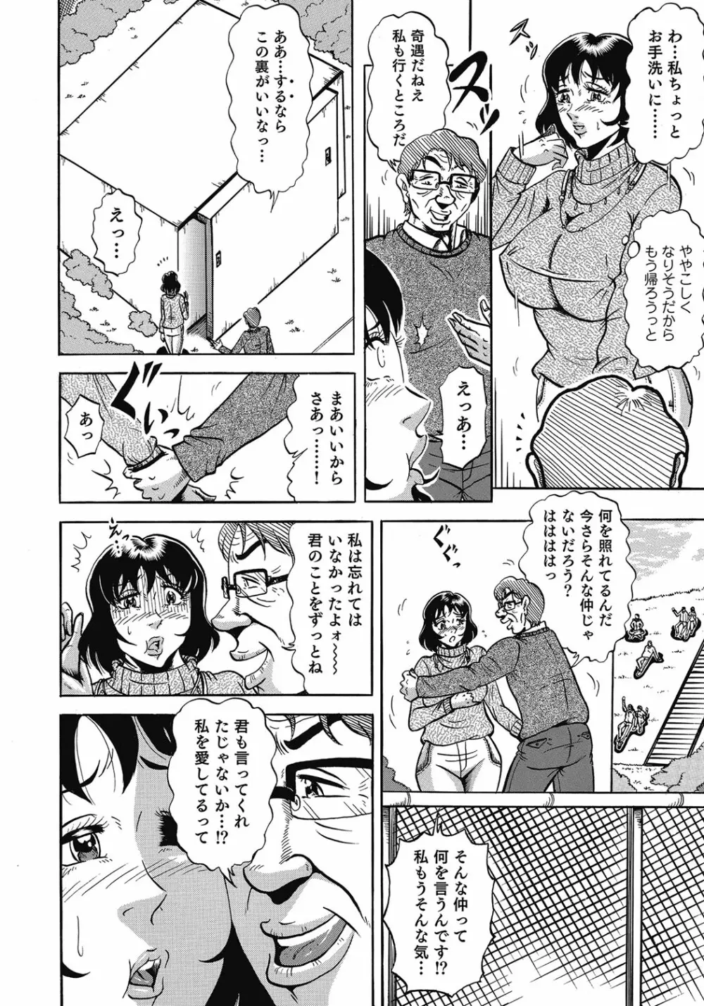 欲求不満の人妻不倫日記 Page.247