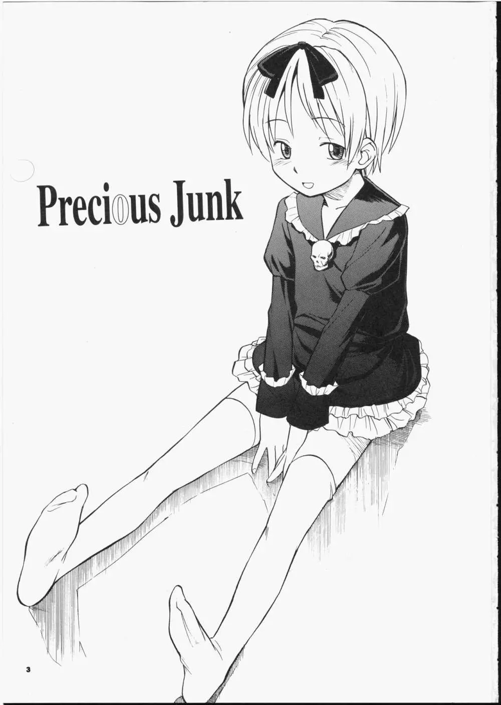 Precious Junk Page.2