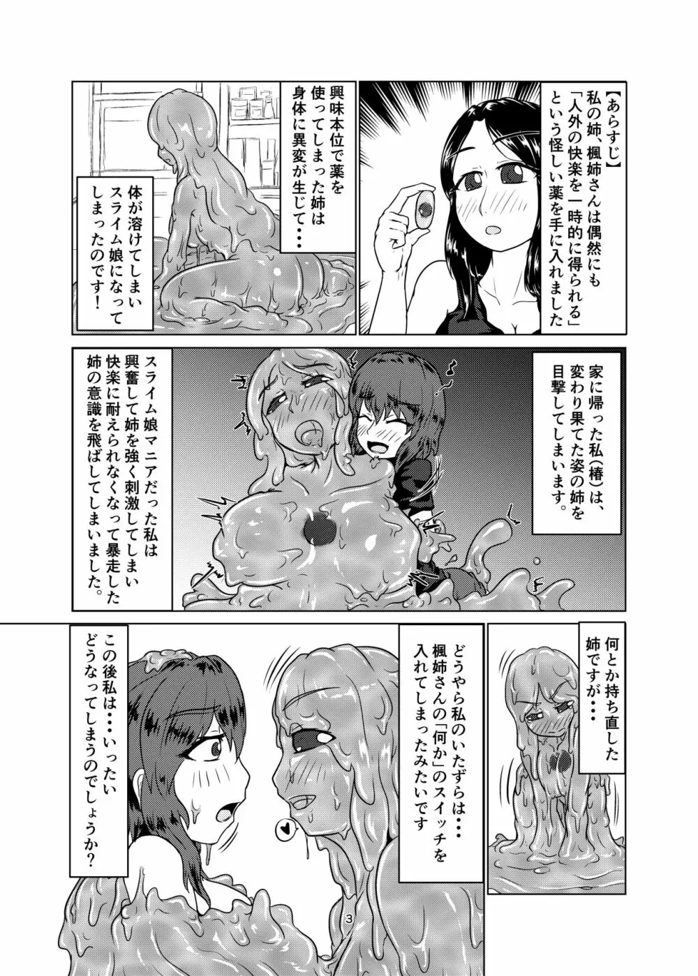 私の姉はスライム娘 -2日目- Page.3