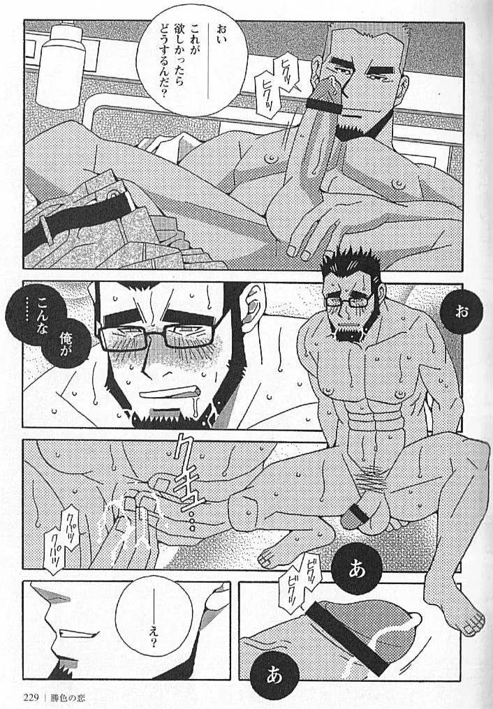 勝色の恋 Page.229