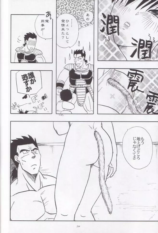 若葉 Page.35