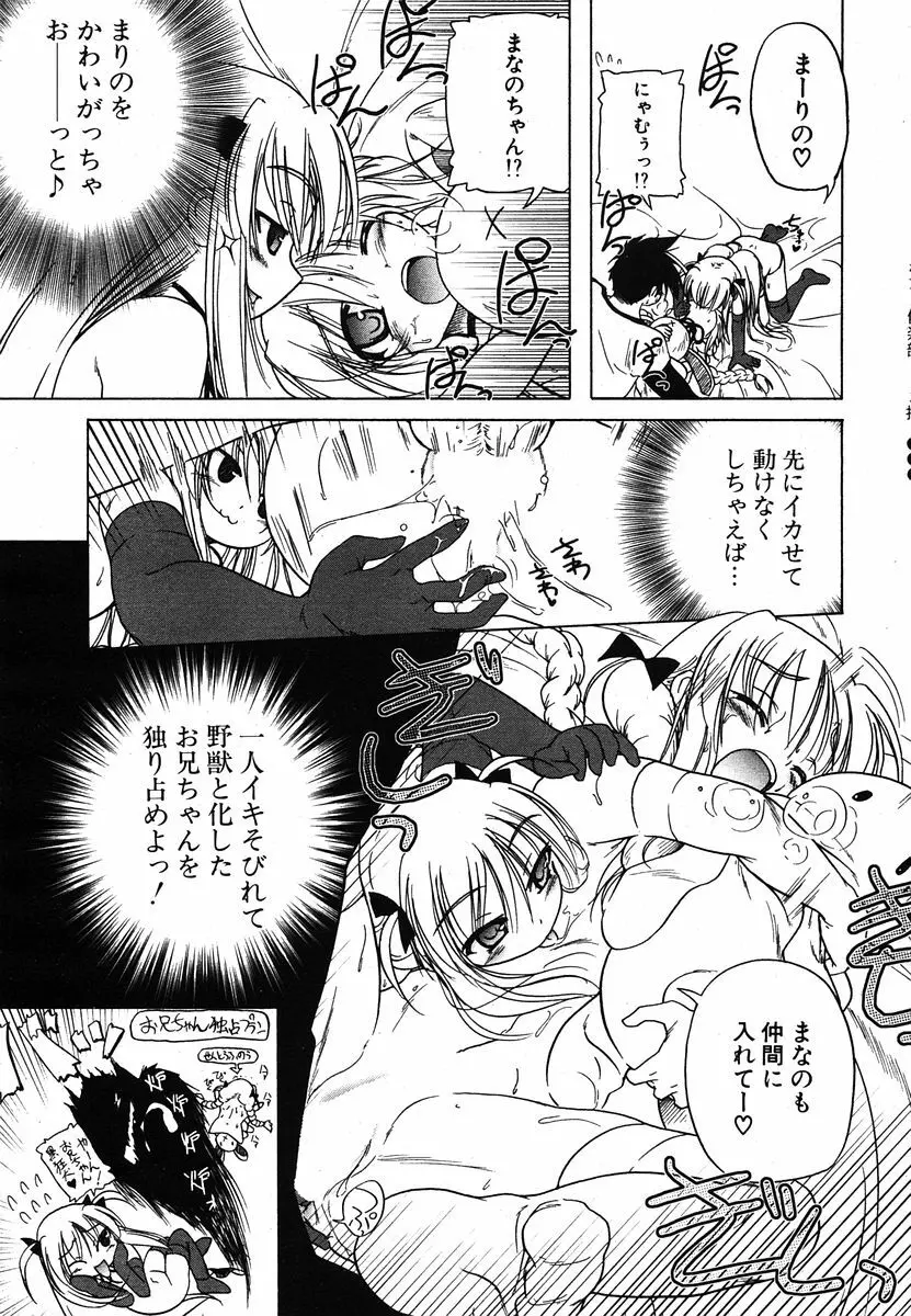 COMIC ポプリクラブ 2005年12月号 Page.41