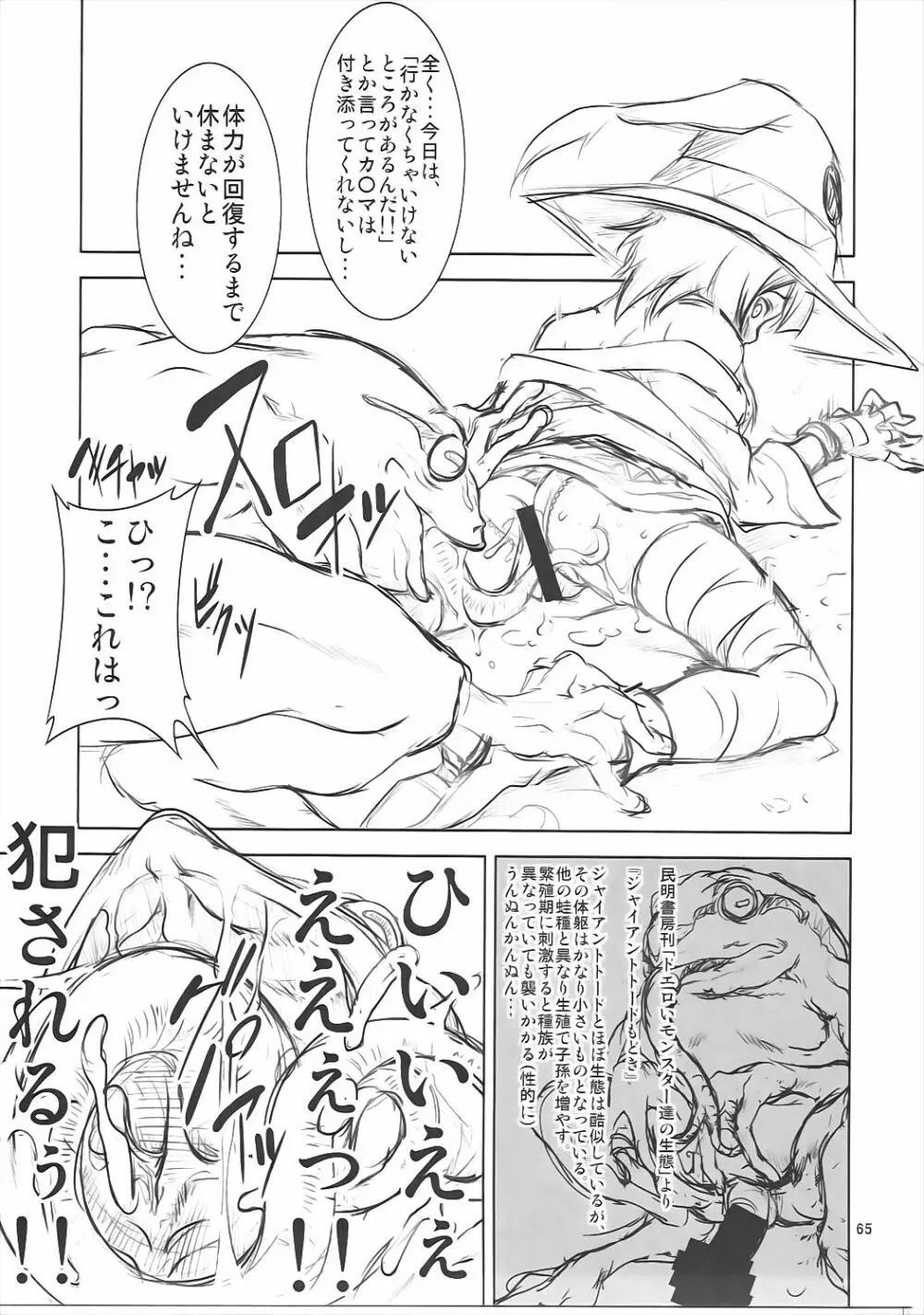 FD vol.5 Page.64