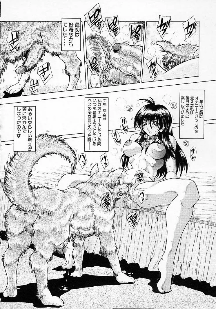 夢幻回想 Page.66