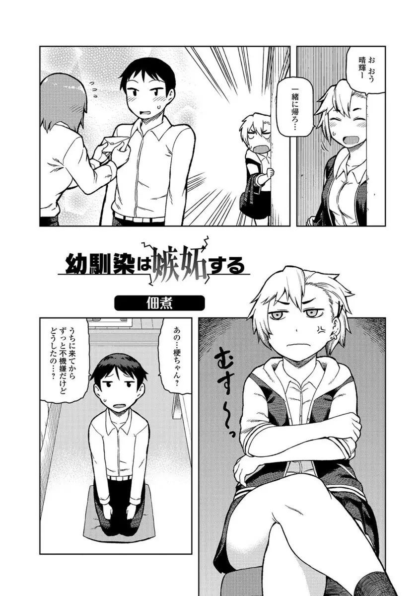 コミックジェシカ Vol.10 Page.163