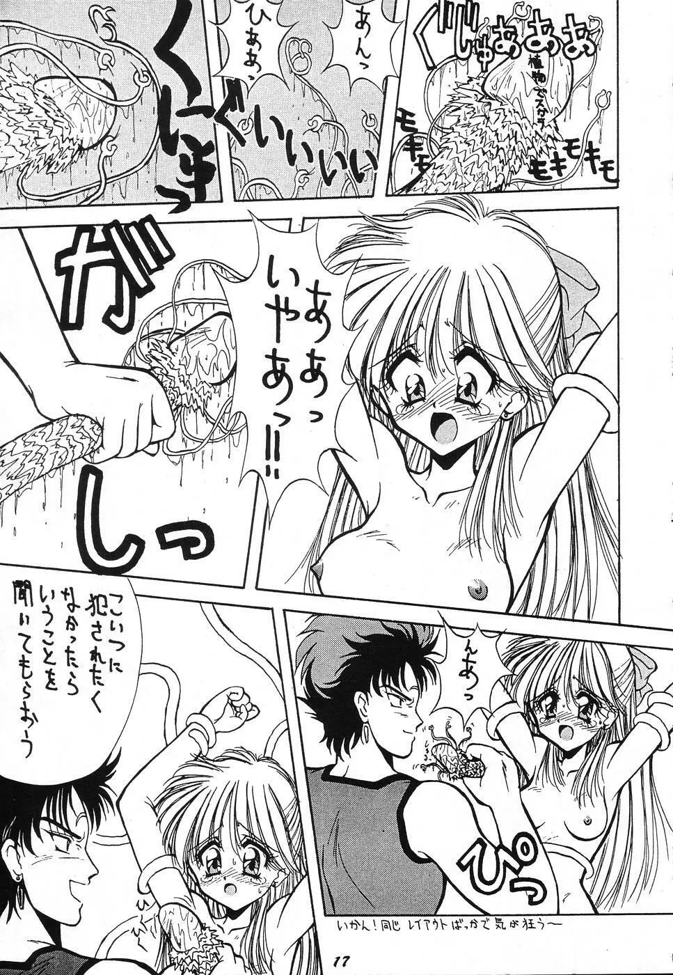 SAILOR MOON GENOSIDE 2改訂版 Page.17