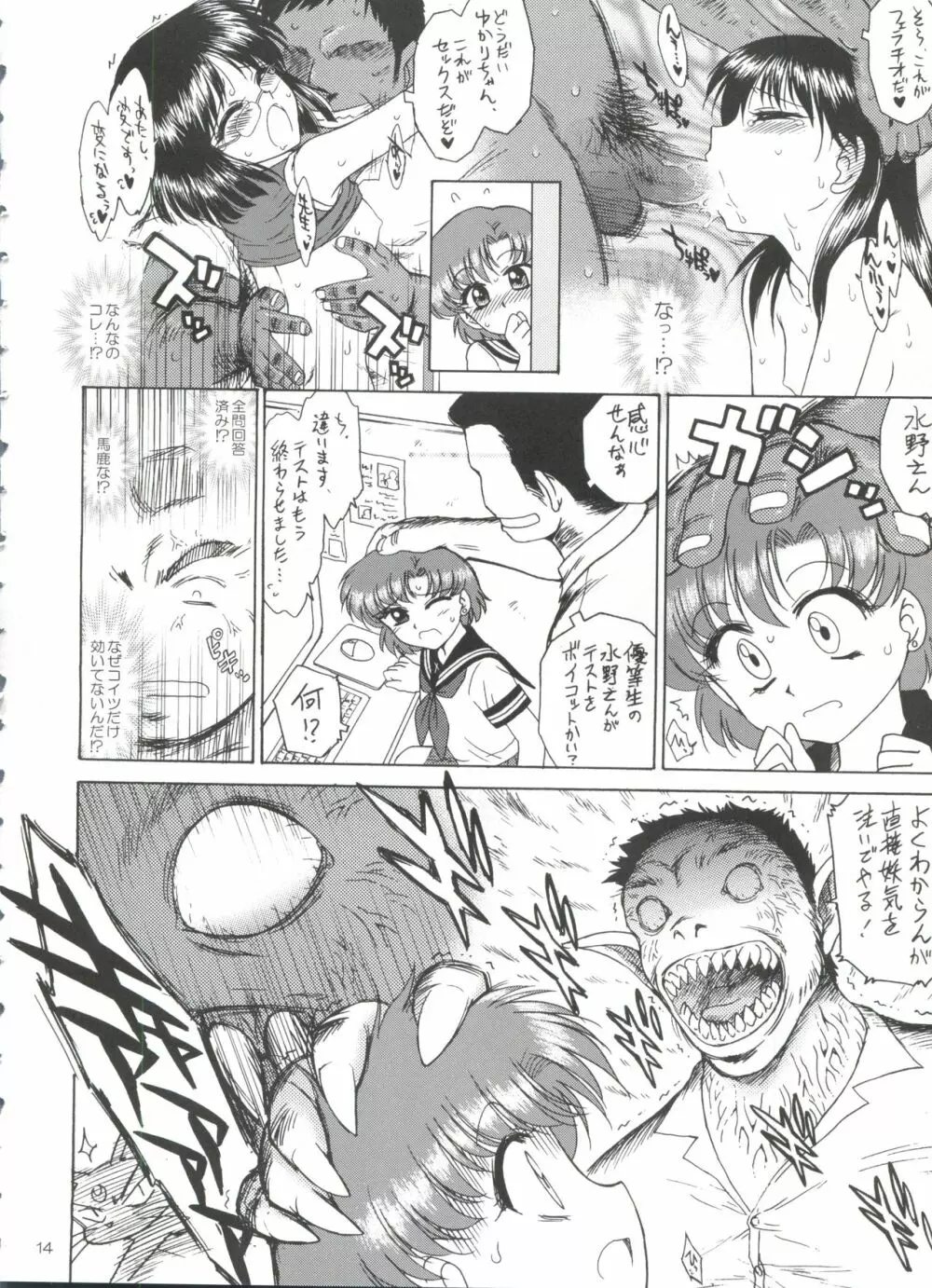 SUBMISSION-R RE・MERCURY Page.13