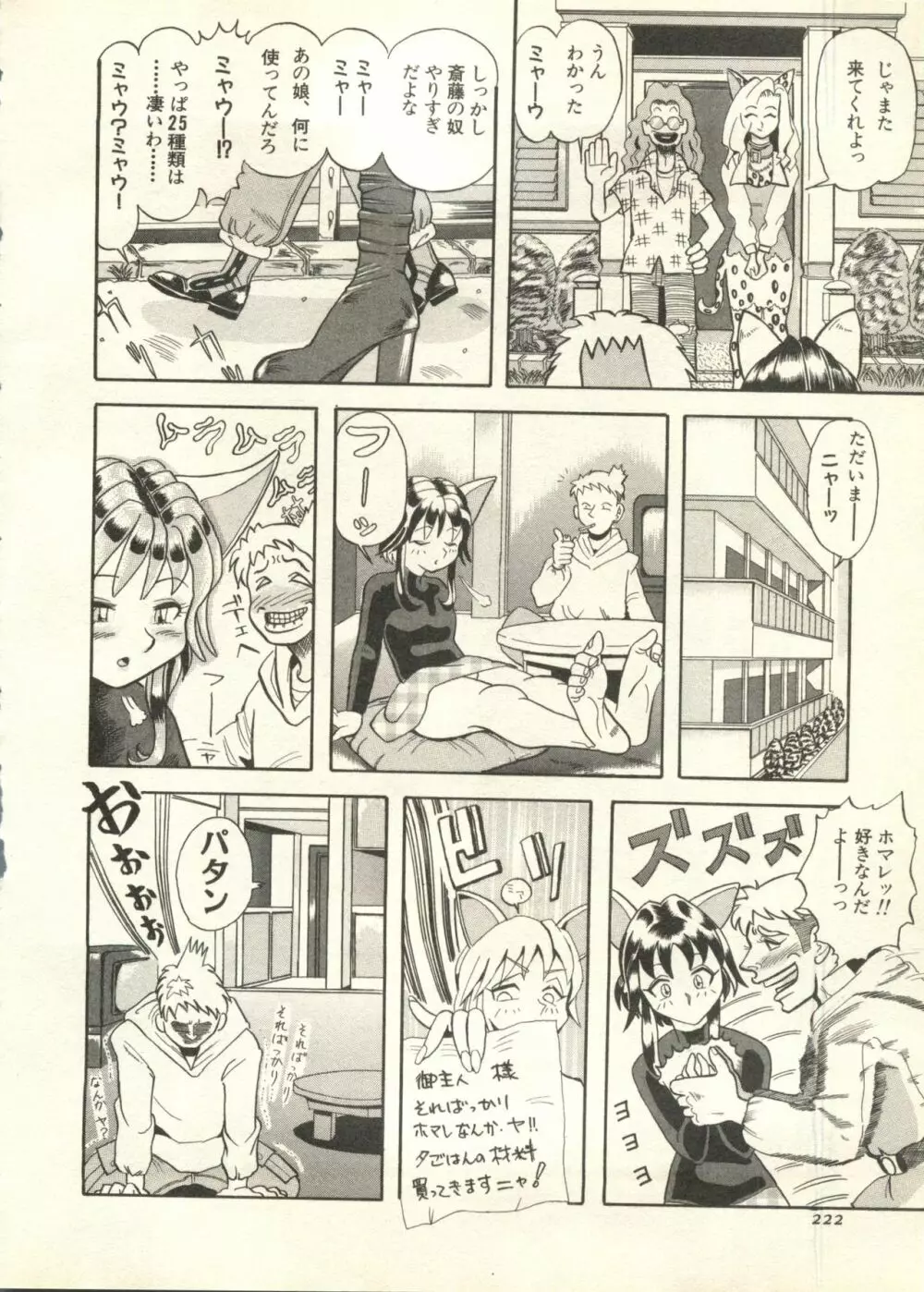 パイク Pai.kuu 1998 July vol.11 文月 Page.223