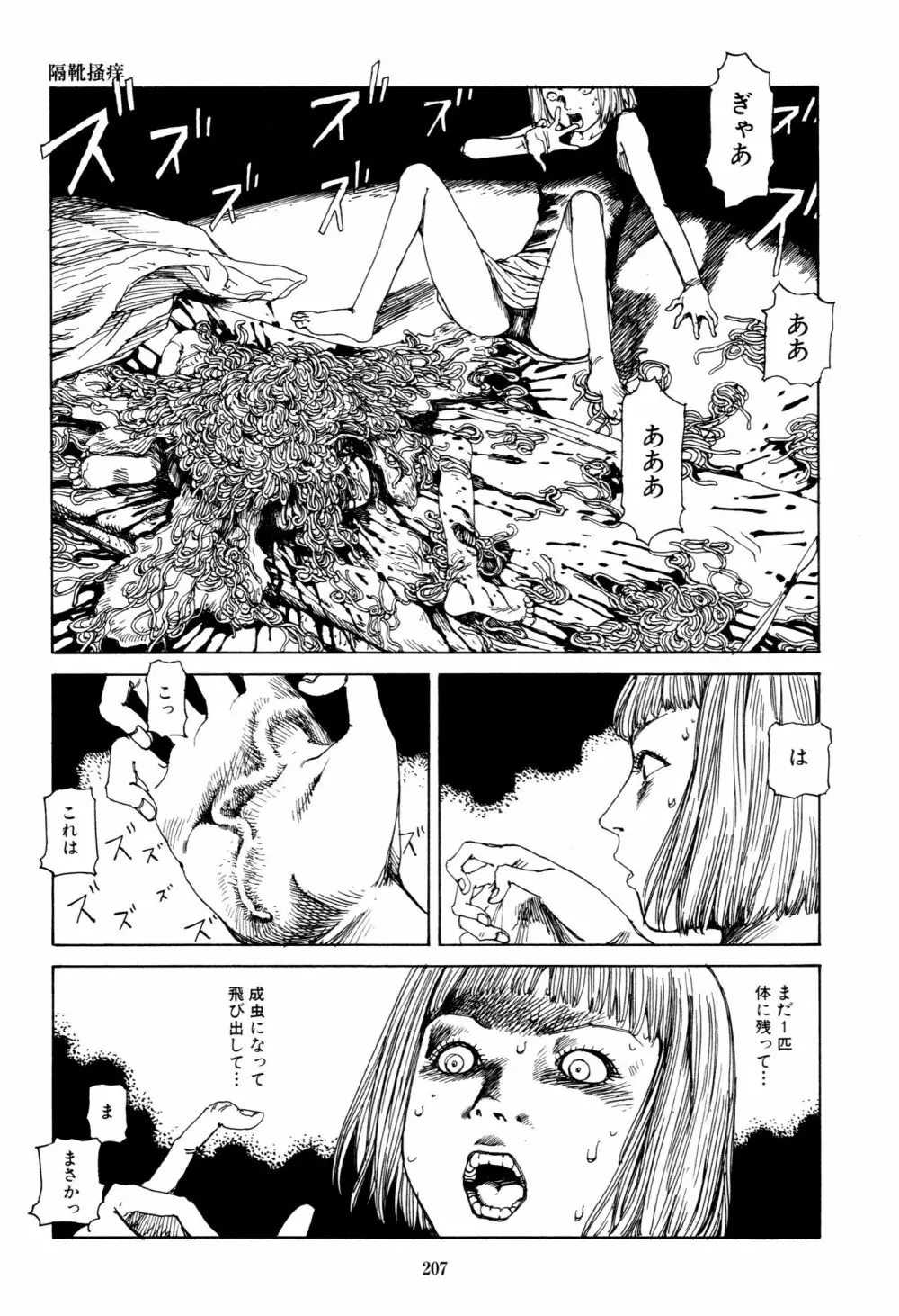 フラクション Page.205