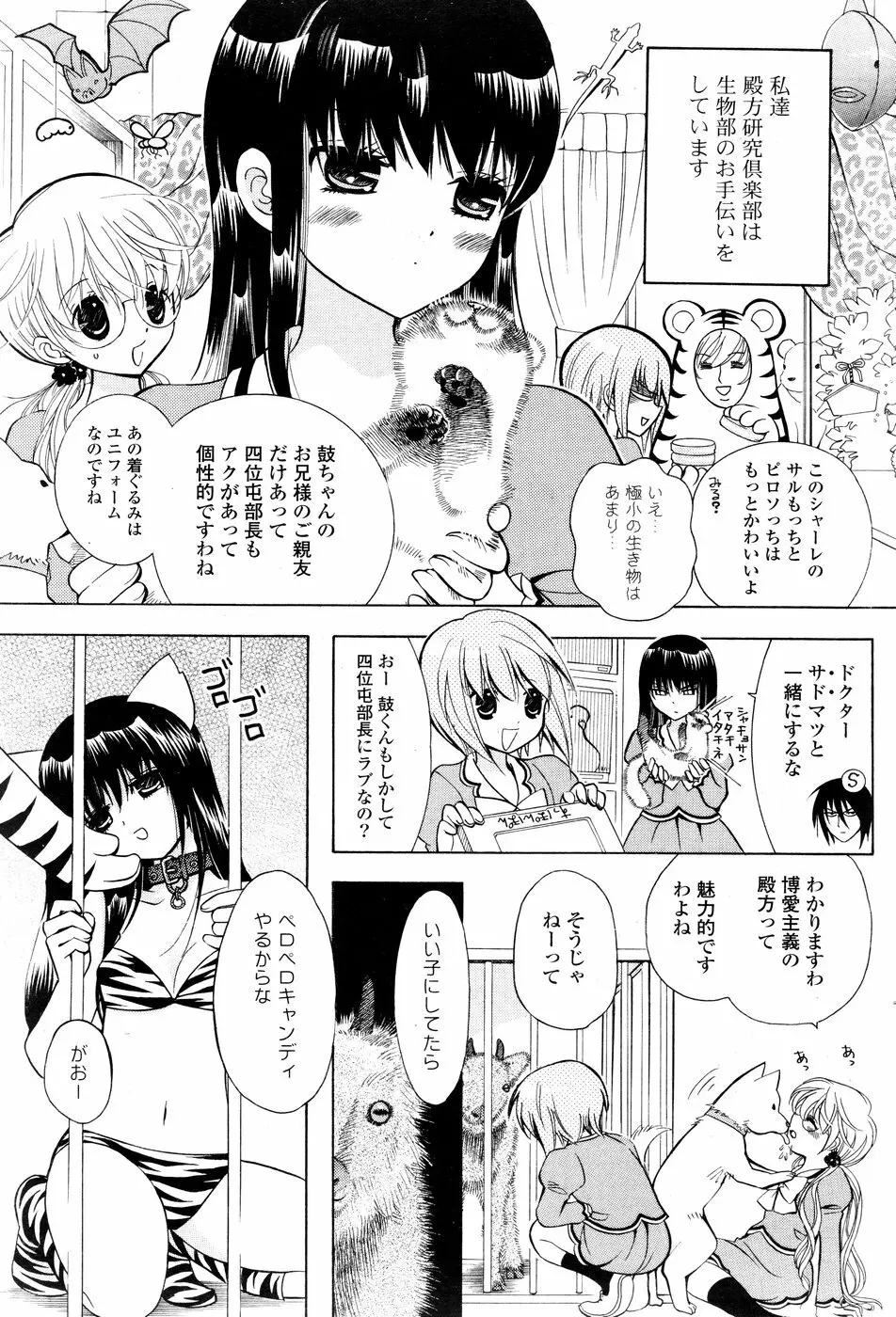 COMIC ポプリクラブ 2008年12月号 Page.215