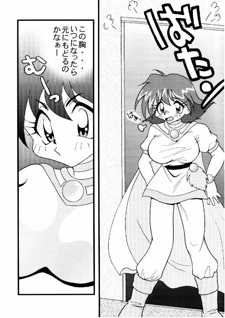 Slayers Adult 10 Page.9