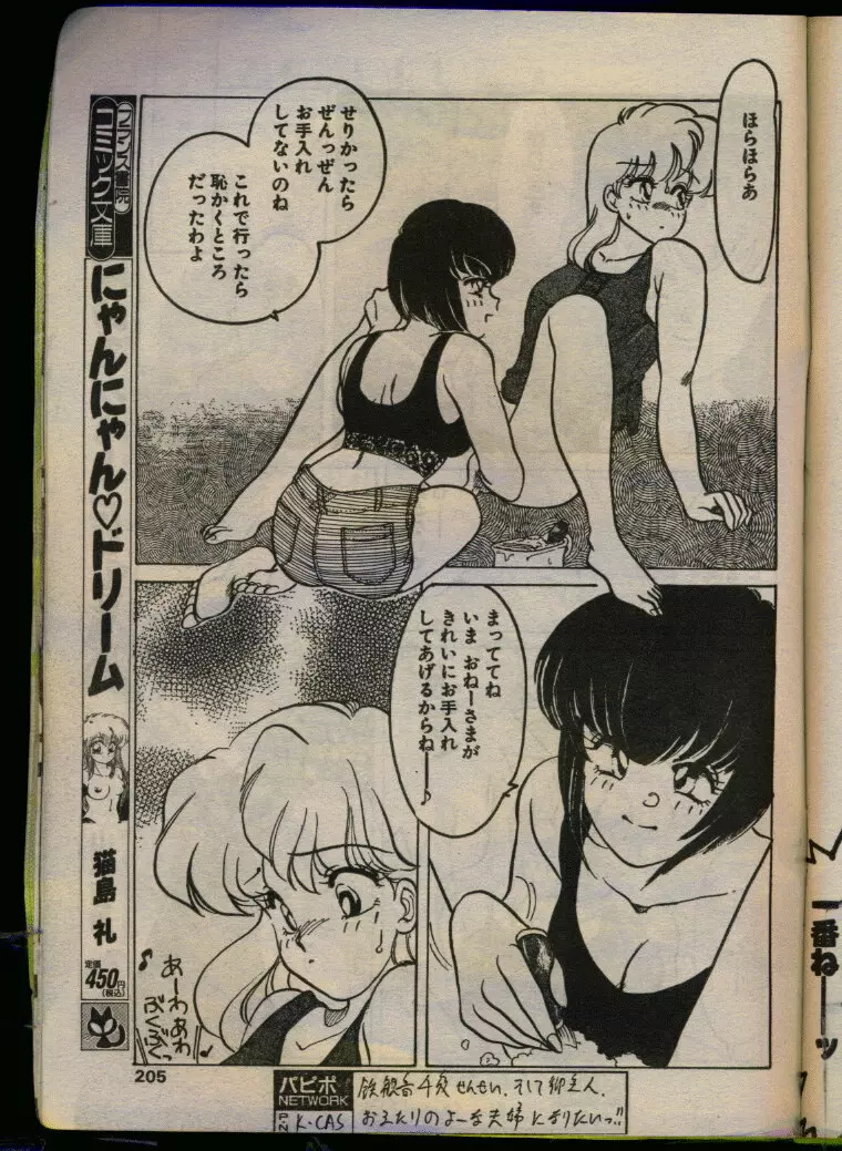 COMIC パピポ 1993年08月号 Page.203