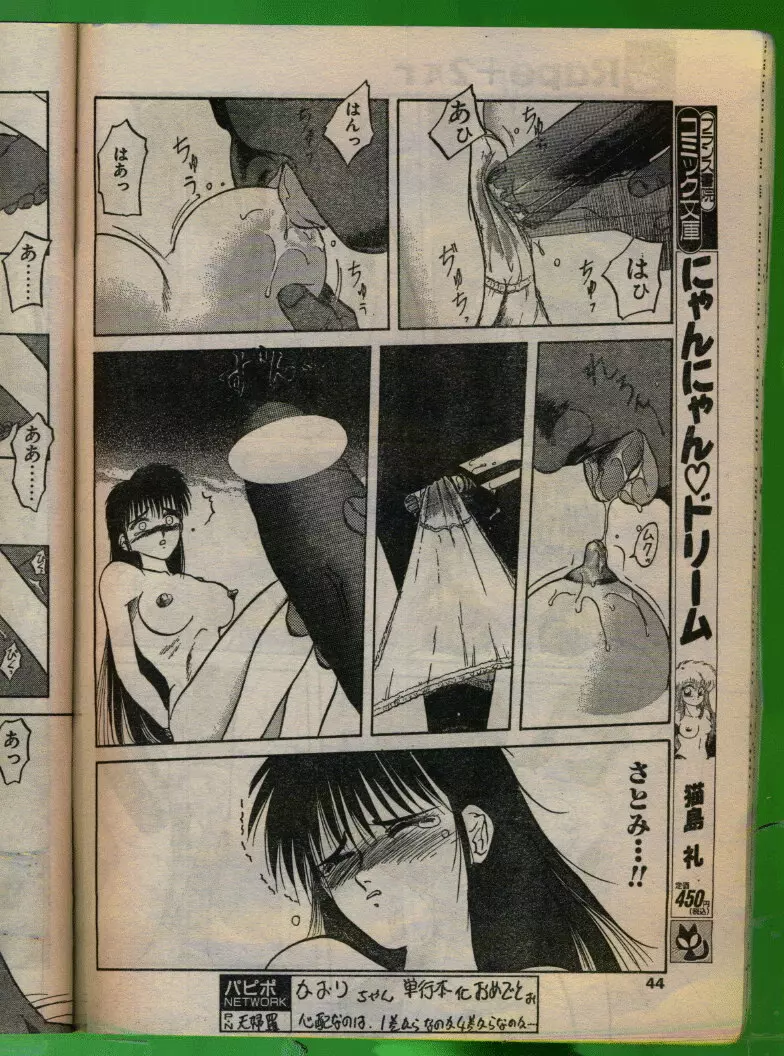 COMIC パピポ 1993年08月号 Page.43