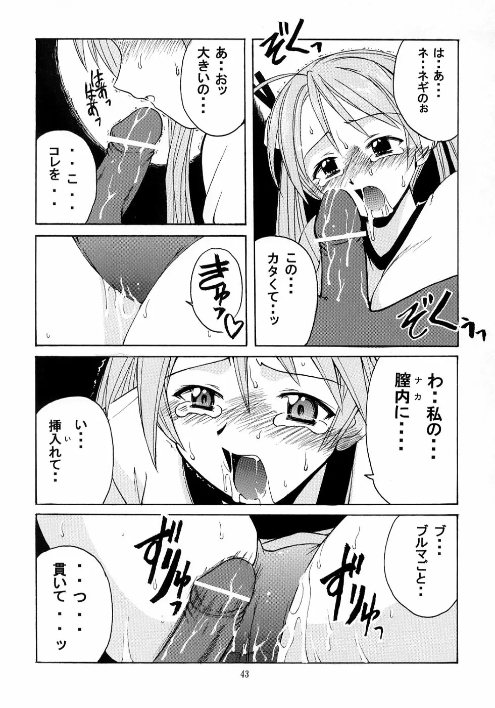 ネギ先生と賢者のブルマ Page.42