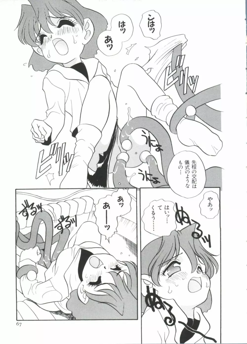 ぱろぱろ王国2 Page.67