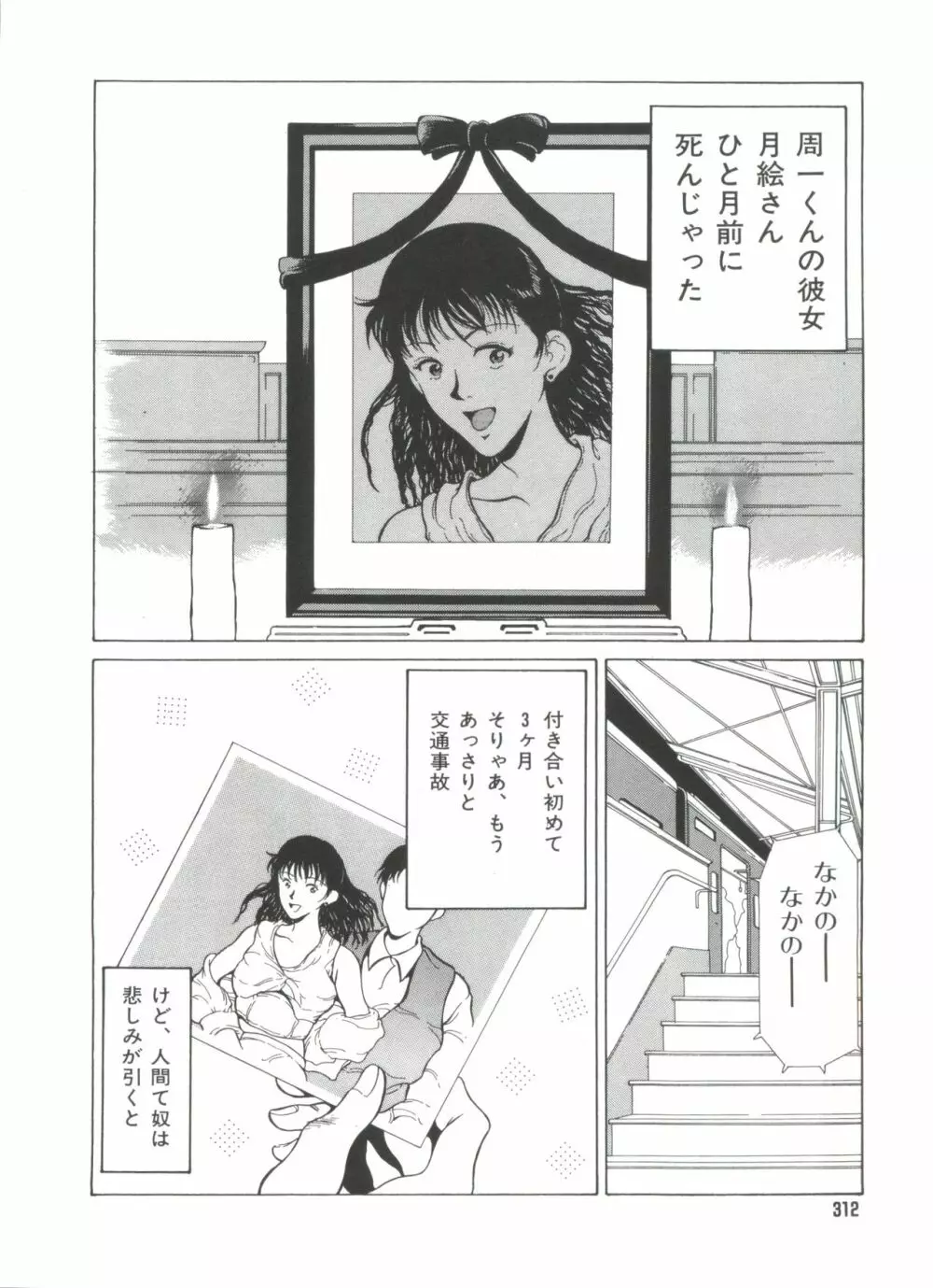 きのした黎自選集 Page.314