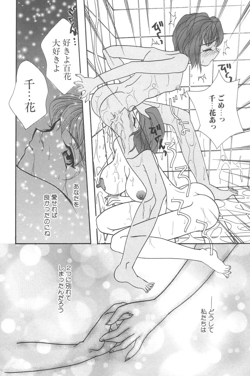 シンデレラ☆スキャンダル Page.141