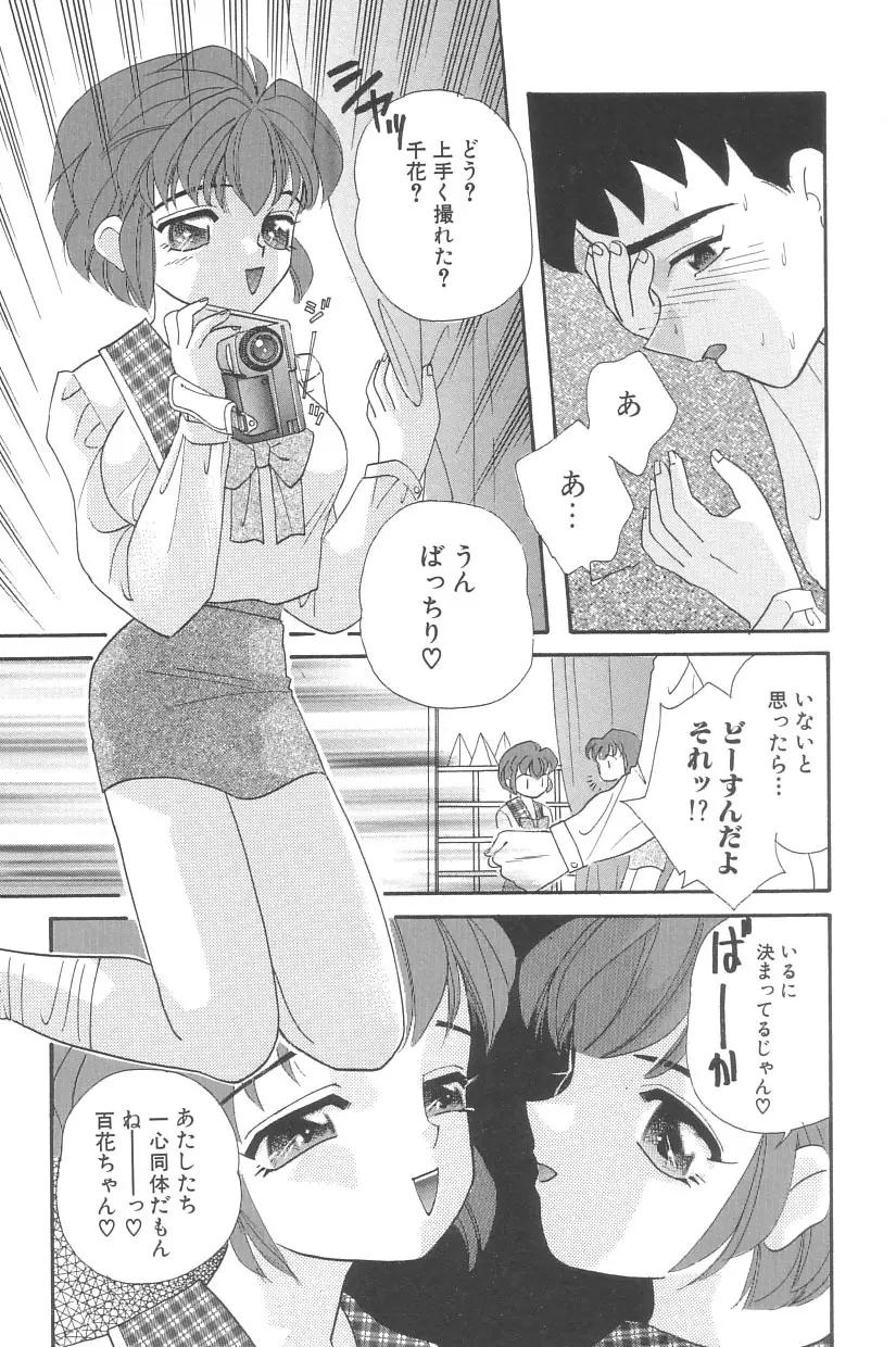 シンデレラ☆スキャンダル Page.53