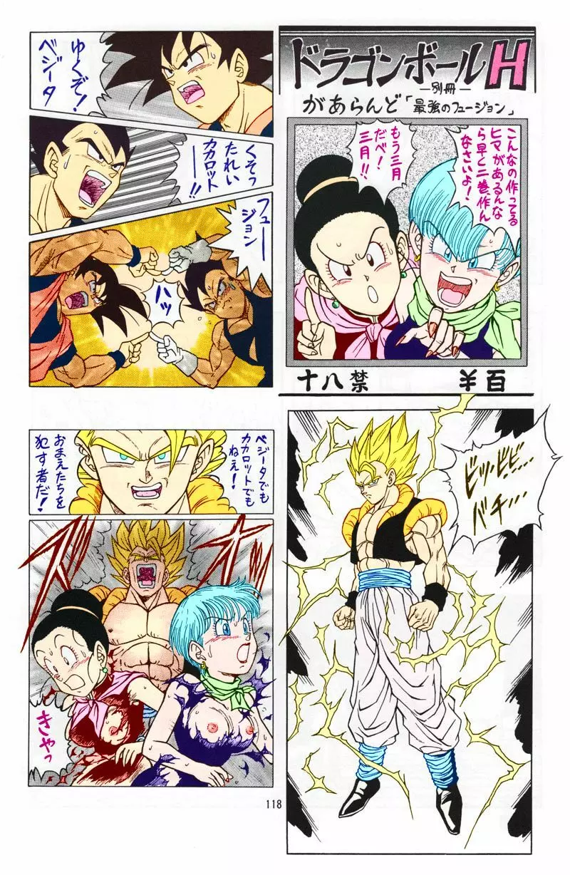 ドラゴンボール H 総集編 Page.117