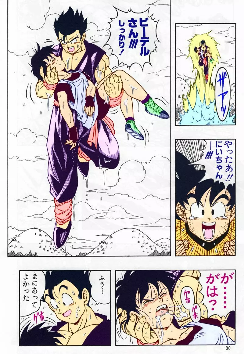 ドラゴンボール H 総集編 Page.29