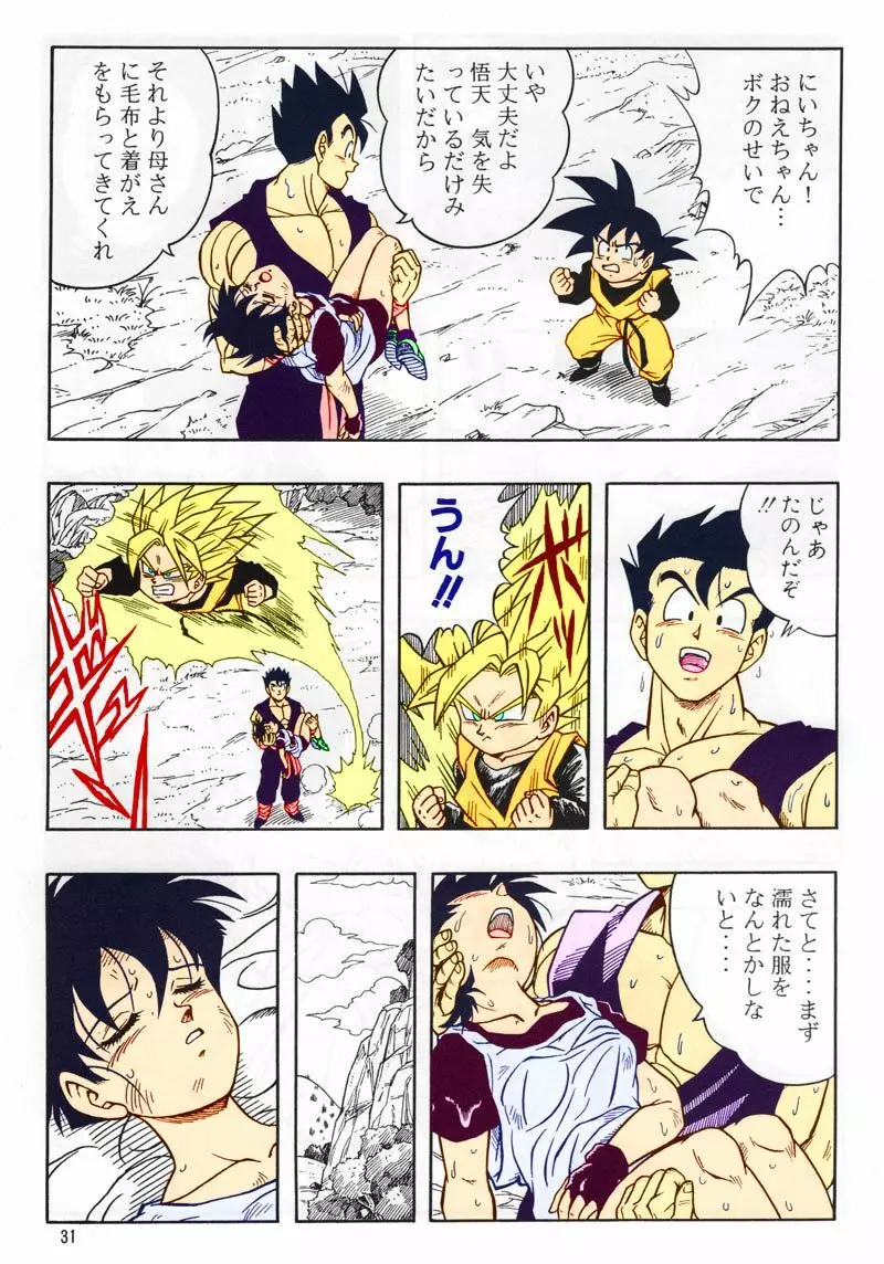 ドラゴンボール H 総集編 Page.30