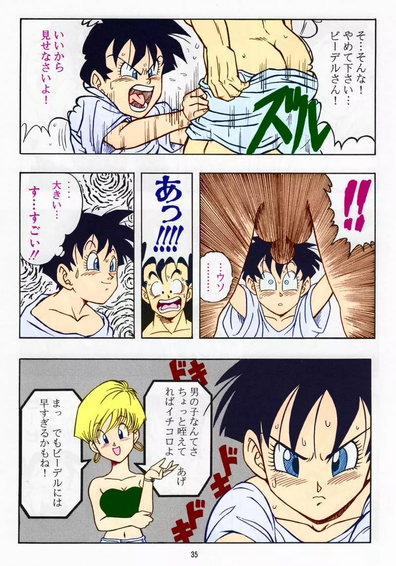 ドラゴンボール H 総集編 Page.34