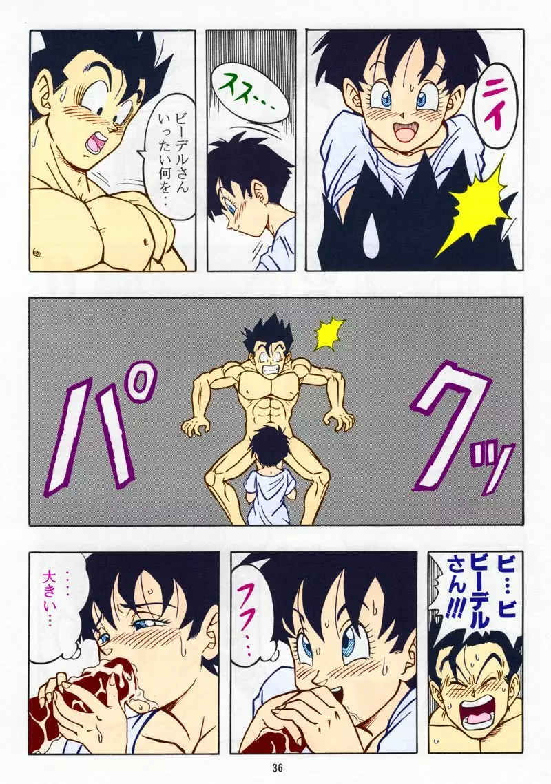 ドラゴンボール H 総集編 Page.35