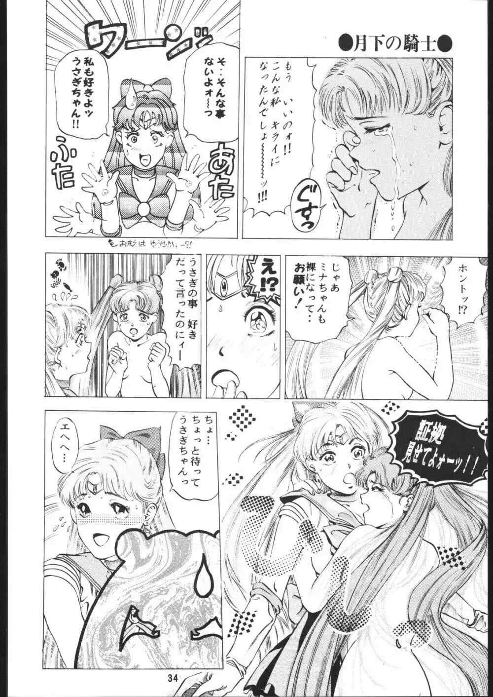 月下の騎士 Page.33