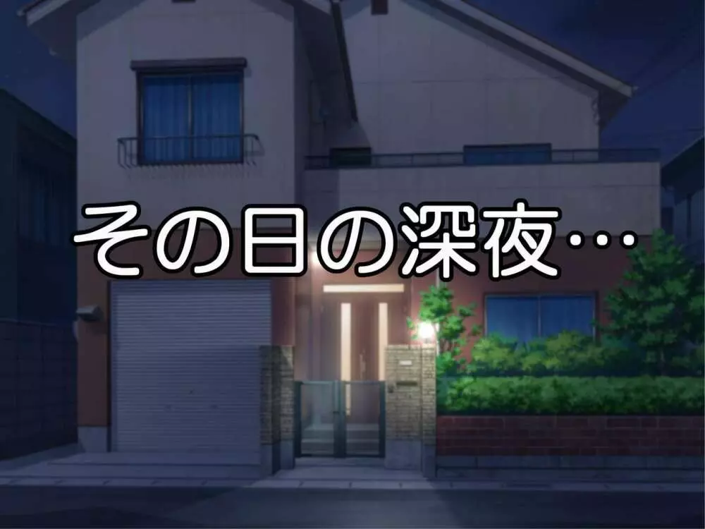 誰にも言えない~男に騙され媚薬にハマった強気な爆乳クラス委員長~ Page.29