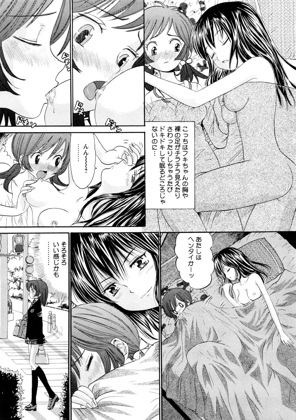 Comic Hime Dorobou 2008-05 Page.102