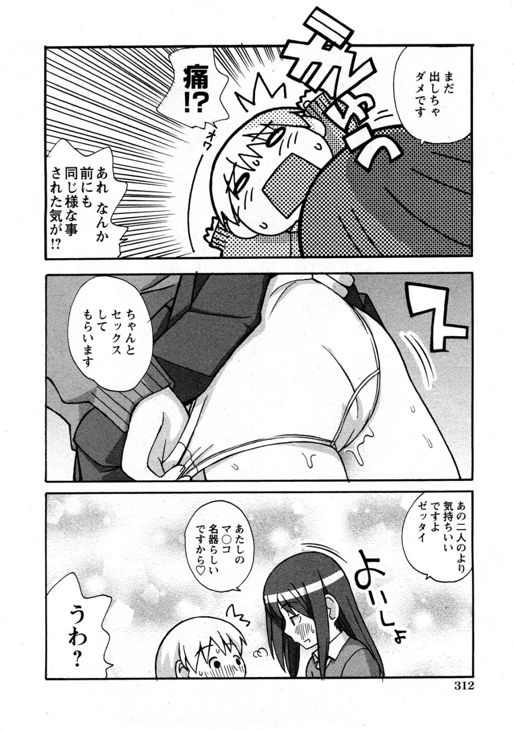 Comic Hime Dorobou 2008-05 Page.305