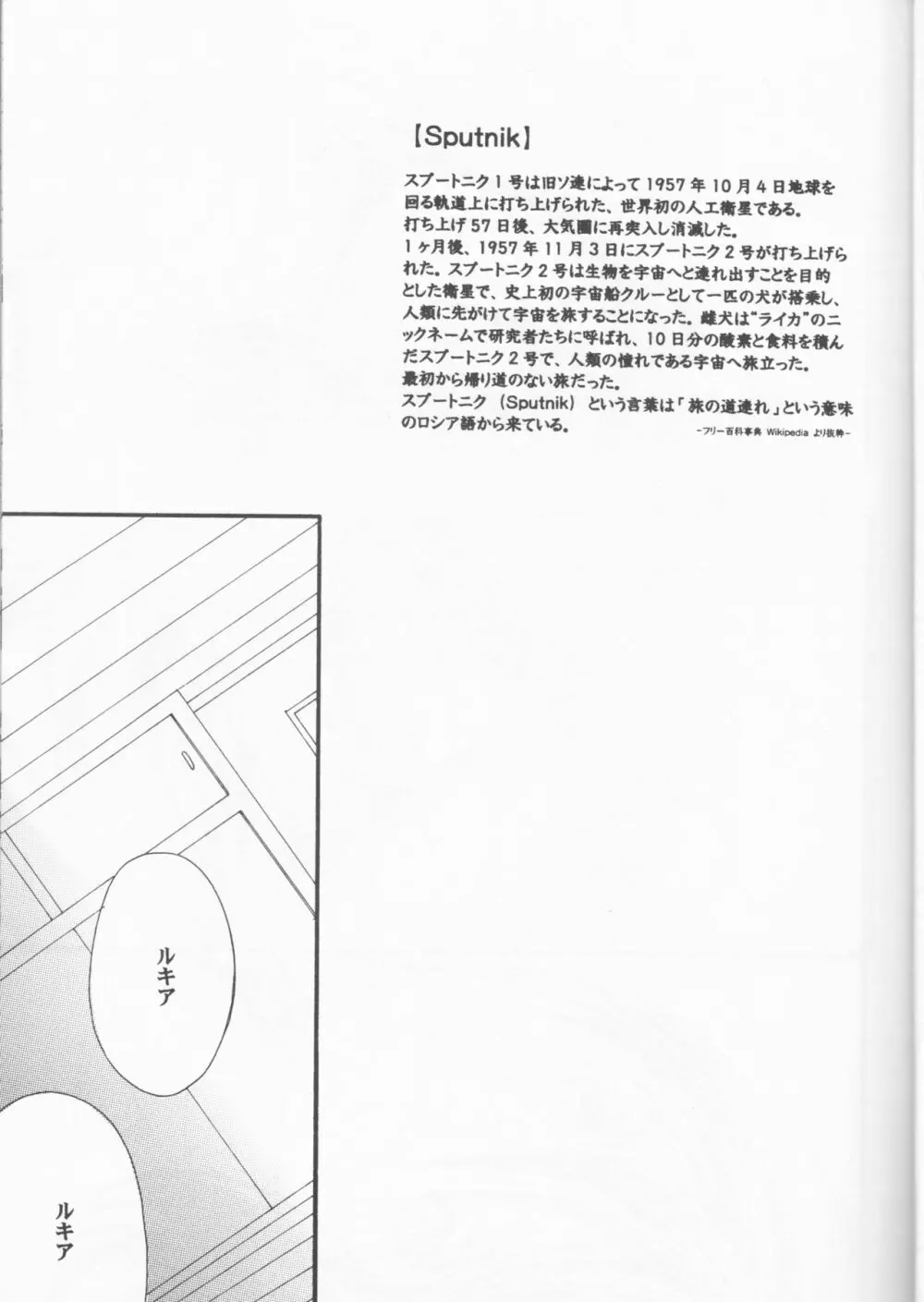 Sputnik Introduction Page.9