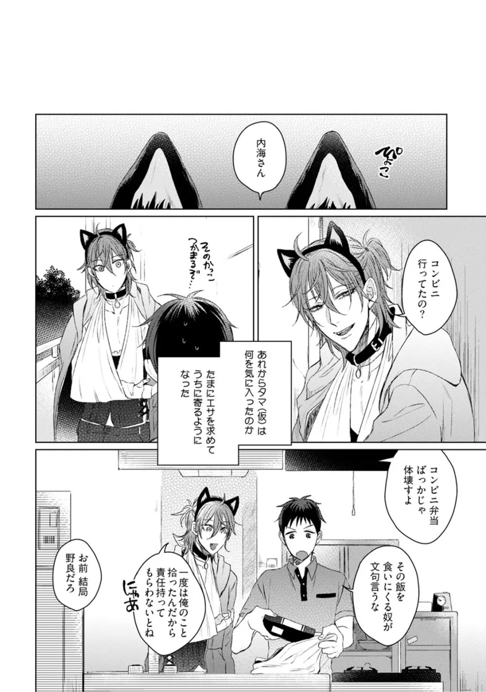 ニャアと鳴くから愛してよ Page.30