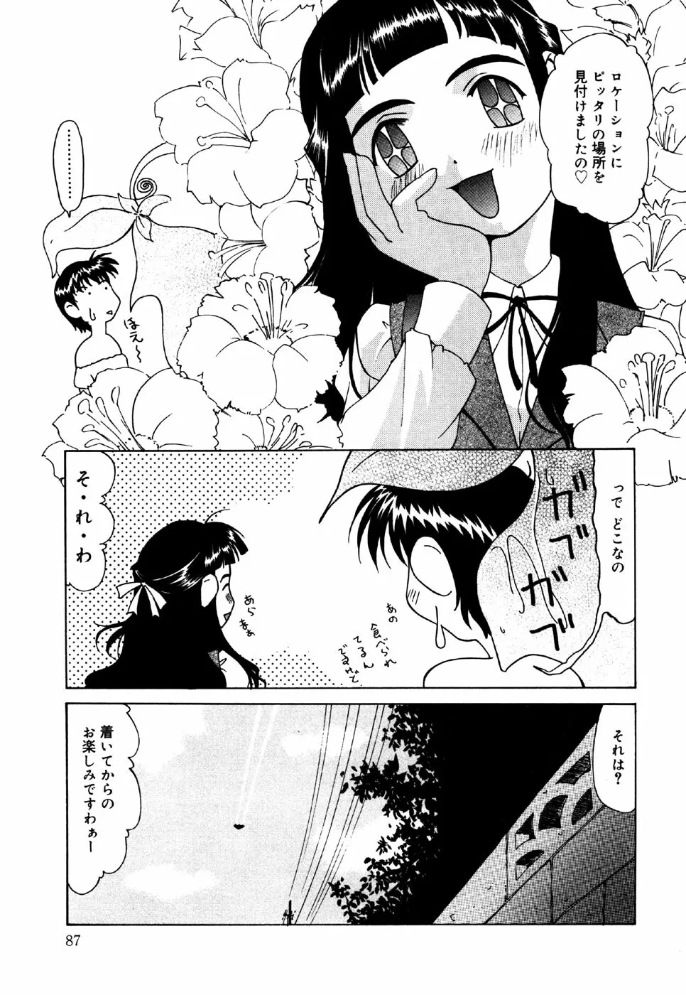 リトルピアス Vol.24 Page.89