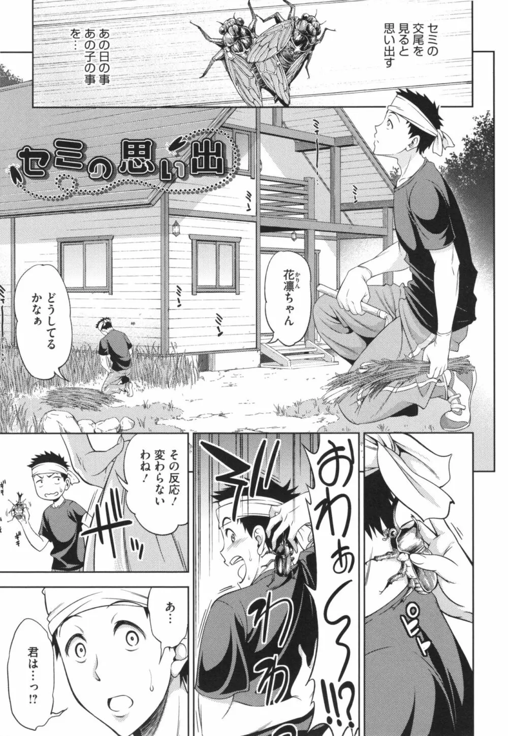 柔肉少女ラブポルノ+ とらのあなリーフレット Page.161