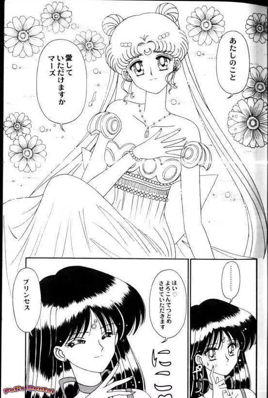 アニパロ美姫7 Page.10